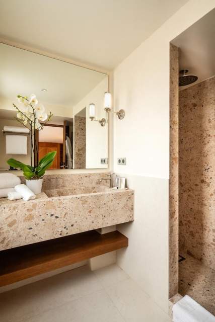 Salle de douche executive